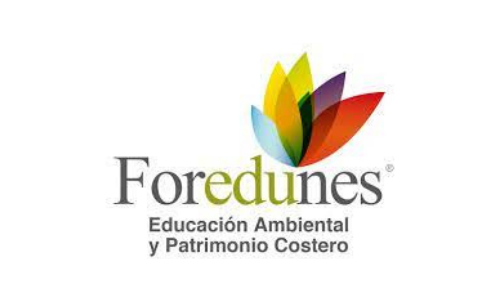 Foredunes
