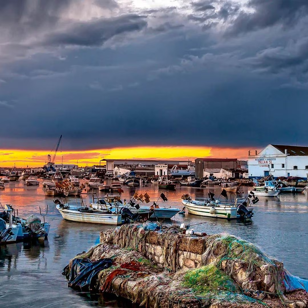 Puerto Pesquero