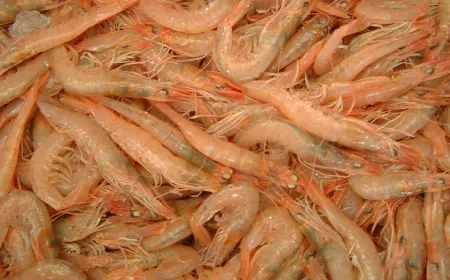 gambas