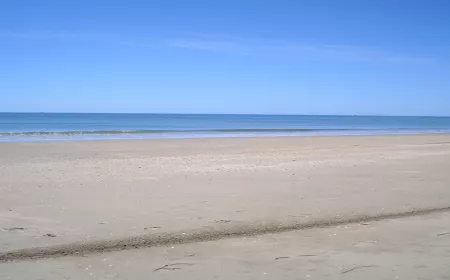 Playa Parque Litoral