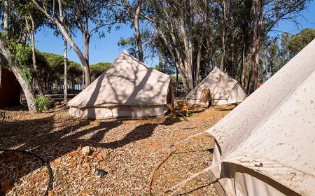camping_taray