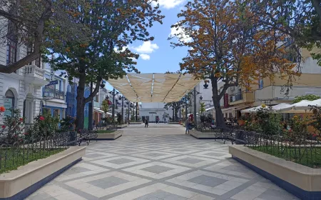 Paseo de las flores