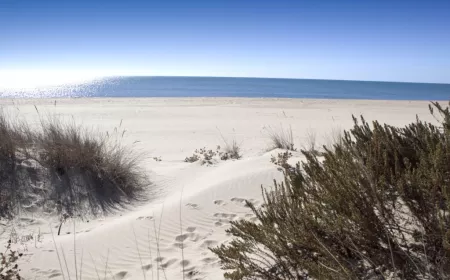 Playa Icona Pesmar