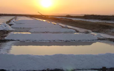 Salinas