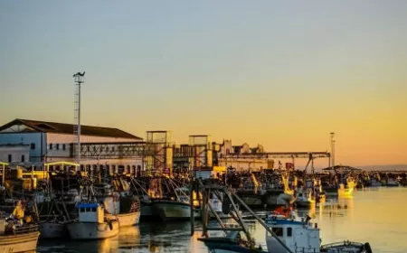 Puerto Pesquero