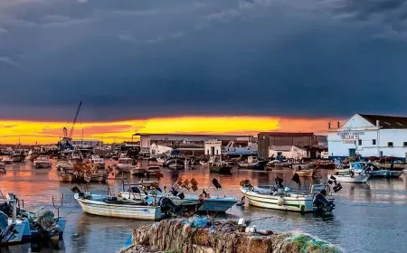 Puerto Pesquero