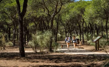 Paseo Camaleón