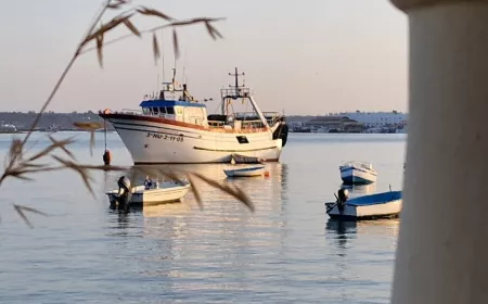 Barco