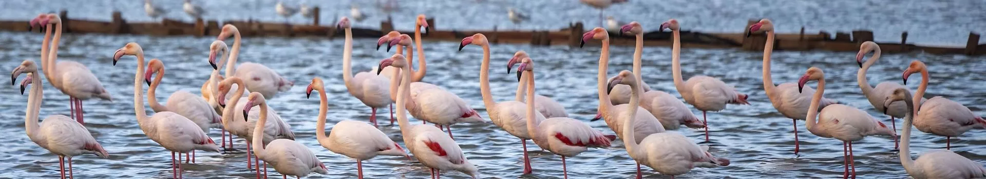 naturaleza