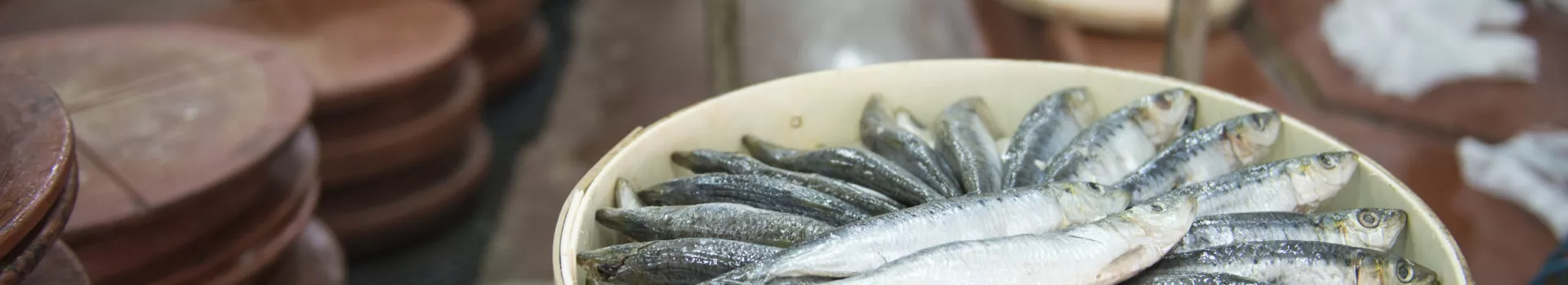 gastronomia