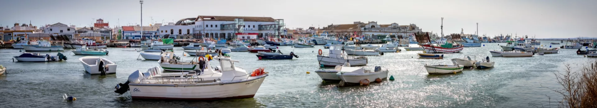 puerto-pesquero