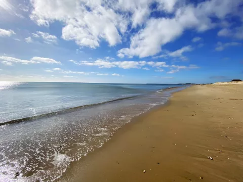 Playas
