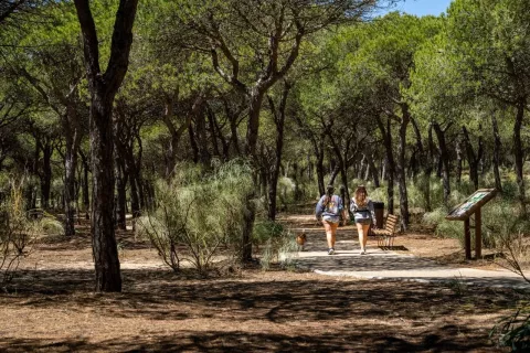 sendero azul