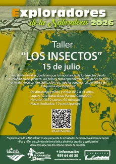 taller-insectos
