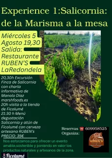  experience salicornia