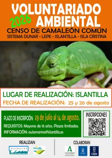 voluntariado