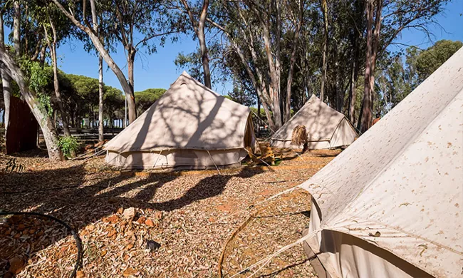 camping_taray