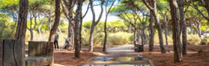 Naturaleza
